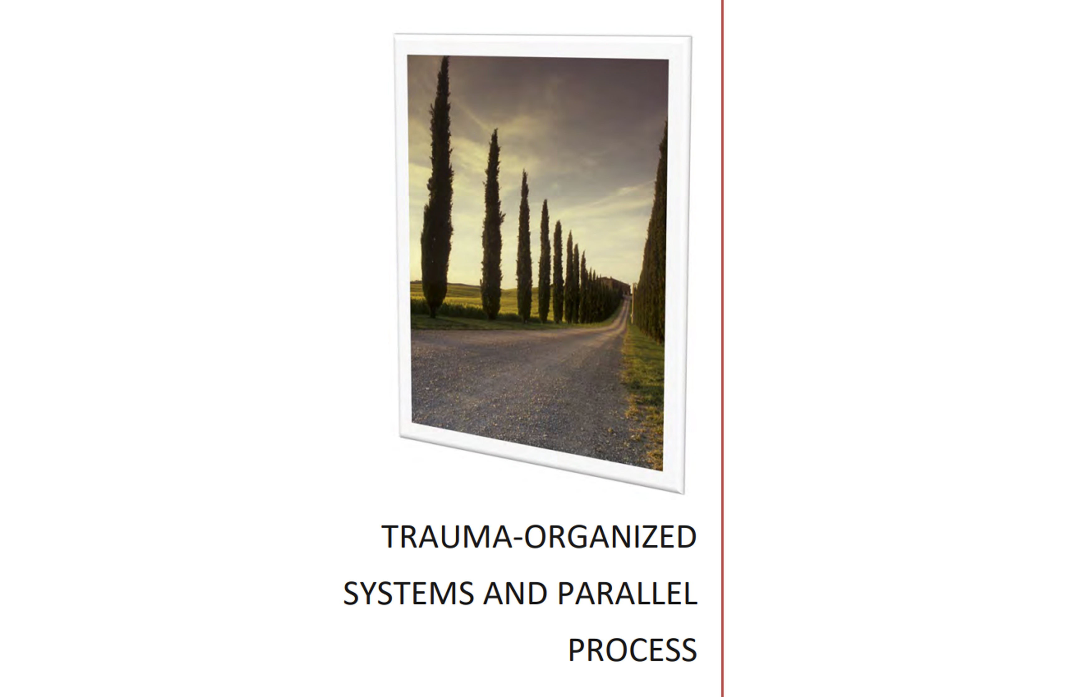 Trauma-organised systems and parallel process