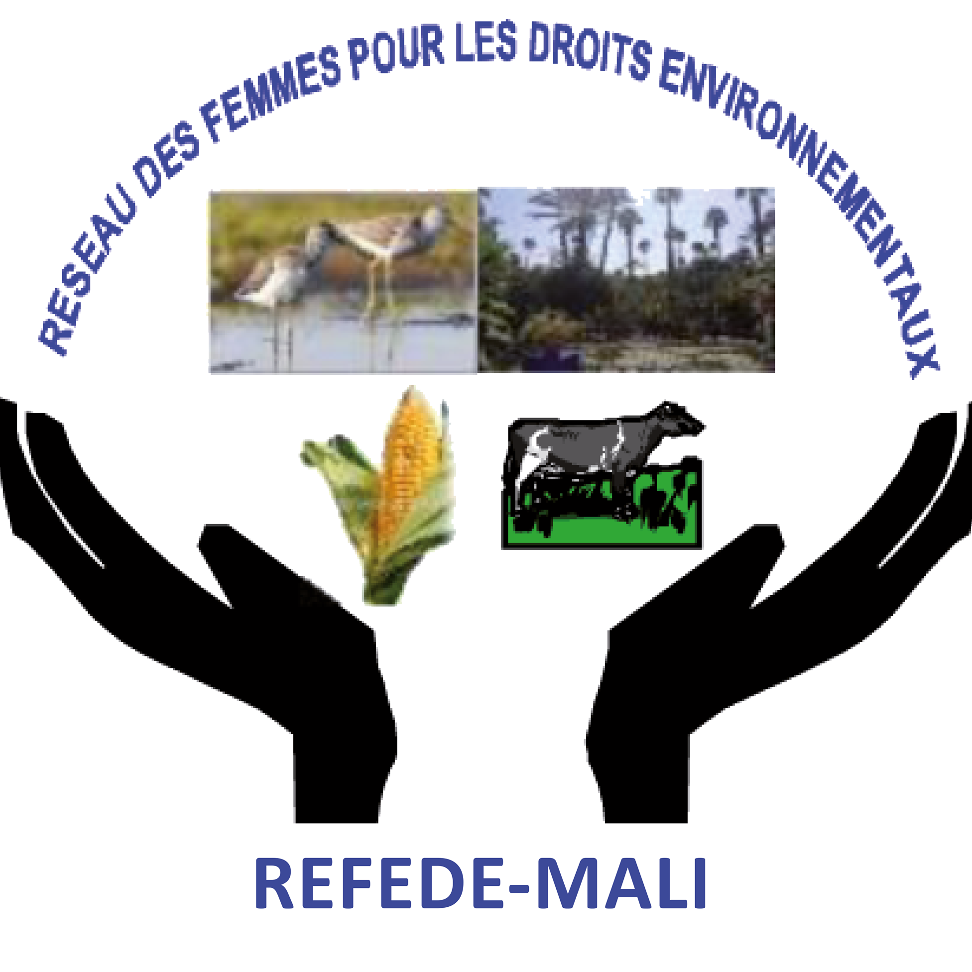 REFEDE-Mali-logo.png 