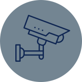 Private Security Governance 