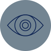 Independent Oversight Institutions