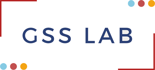 Gender and Security Sector Lab